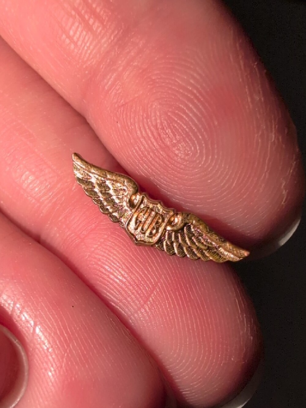 ❤️‍🔥10/$10❤️‍🔥 Cub Gold Winged Pilot/Flight Pin - Picture 2 of 5
